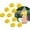 10PCS, variant on Hornet Traps Outdoor Hanging Indoor Outdoor Reusable Wasp Traps Hornet Hanging for Yellow Jackets Bee Catcher