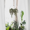 thumbnail image 3 of 1pc Artificial Succulent Hanging Plants 12.2 inch Fake Pearl Necklace in Pot with 8.3 inch Lanyard for Indoor Outdoor Wall Decor., 3 of 3