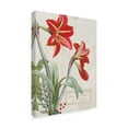 thumbnail image 2 of Trademark Fine Art 'Joyful Tidings I on Wood' Canvas Art by Sue Schlabach, 2 of 3