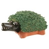 Chia Pet Crocodile Decorative Pottery Planter, Easy to Do and Fun to Grow, Novelty Gift As Seen on TV