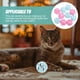 thumbnail image 3 of 10 Uds. Pelota de juguete para gatos con campana, juguete para mascotas, pelota para gatos, juguete con campana, juguete de plástico para gatos con campana, Color aleatorio, 3 of 6