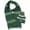 Slytherin, variant on Seven Times Six Soft Knit Slytherin Hat, Scarf & Glove Set, Green/Silver, 2-Piece