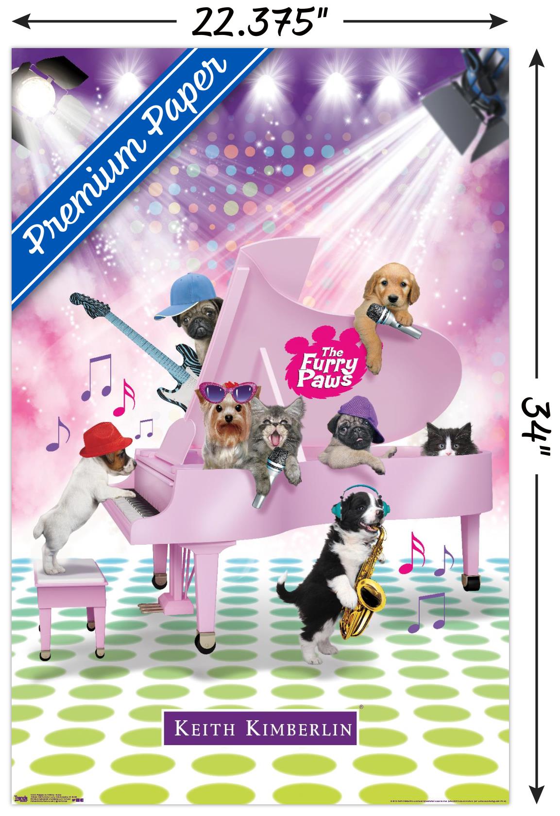 Keith Kimberlin - Puppies and Kittens Band Wall Poster, 22.375" x 34"