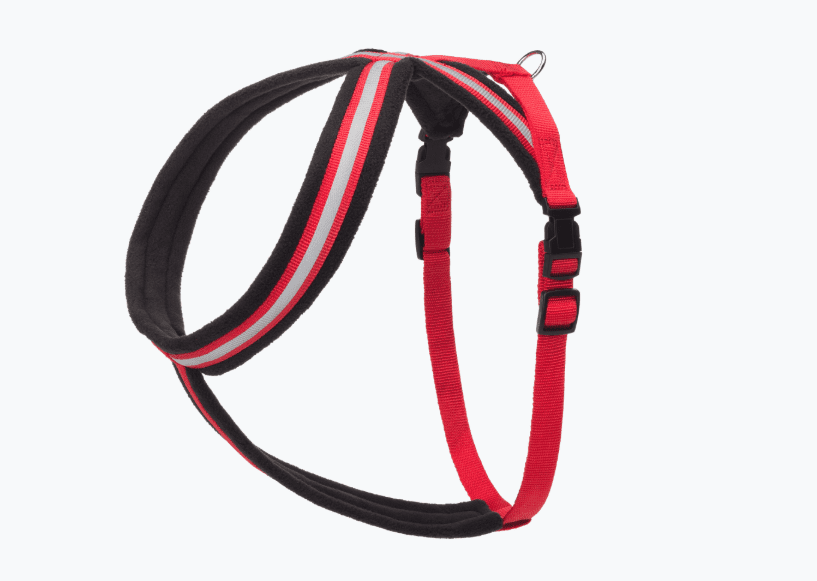 Company of animals comfy harness Clearance