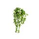 thumbnail image 1 of Plantas colgantes artificiales en maceta, vegetación artificial for oficina, sala de estar, baño, interior y exterior., 1 of 3