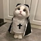 thumbnail image 1 of Disfraces de Perro de Halloween Disfraces de Cosplay de Mascotas Ahora Disfraces de Cosplay de Perro Hermanas Kit Personalizado Pequeño Animal Divertido Vestido de Fiesta Evento Disfraces de Perro Fot, 1 of 9