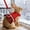 Red-S, variant on NWOKYZGH Rabbit Harness and Leash Set, Proof Walking Escape Cute Vest Breathable Costumes for Bunny, Hiking, Training for Ferret Kitten Puppy Small Animals