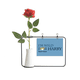 thumbnail image 1 of El lema de la campaña electoral de candidato de las elecciones salvaje Botella de decoración de jarrones colgantes de flores rosas artificiales, 1 of 3