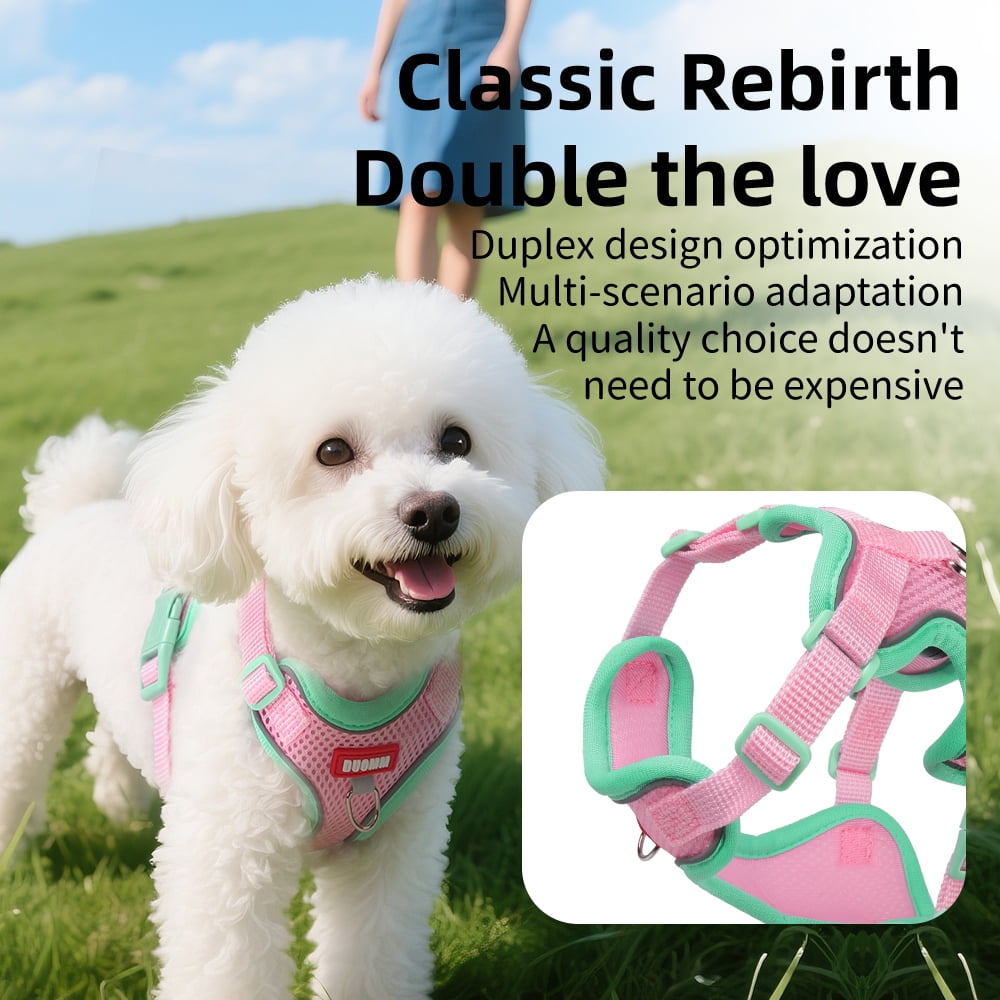Small Dog and Cat&nbsp;Vest Harness Leash Set,Soft Breathable Mesh Adjustable Jacket&nbsp;for Puppy Fat Cat Outdoor Walking,with Reflective Strip