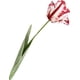 thumbnail image 1 of Nvzi flores artificiales de tacto real, vívidas y decorativas, tulipanes de loro en 3D, para el hogar, flores artificiales de simulación, color rojo, 1 of 5