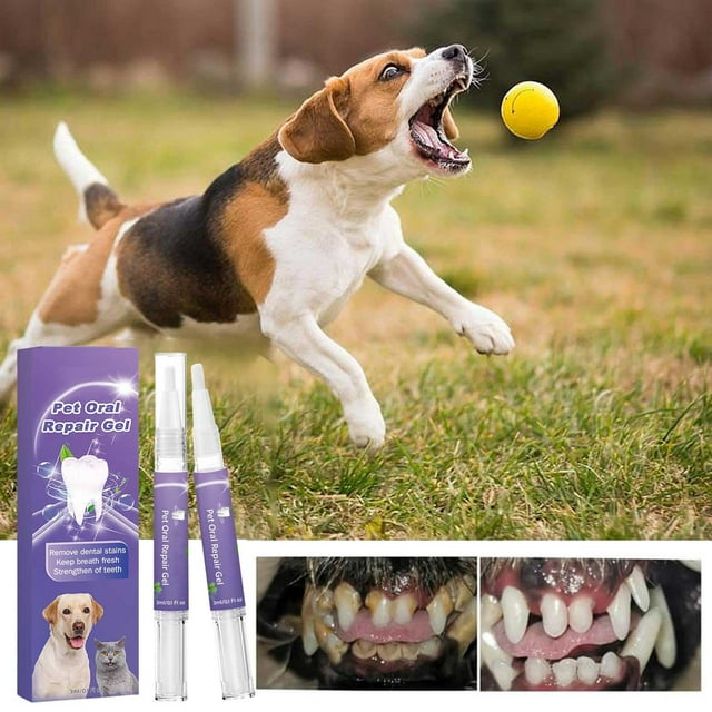 Teething Sticks Natural Dog Chewing Solution for Oral Health Breath Pet Care Hygiene Comfort