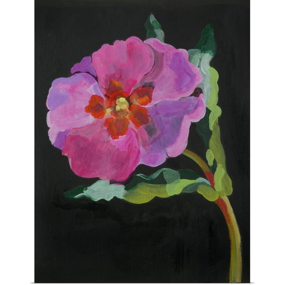 Great BIG Canvas | Rolled Deborah Barton Poster Print entitled Cistus, New Zealand, 2007