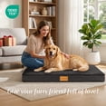 thumbnail image 4 of Exclusivo Mezcla Medium Dog Bed with Removable and Washable Cover 36"x24", Orthopedic Pet Bed for Crates, Non-Slip Bottom and Waterproof Liner, Black, 4 of 10