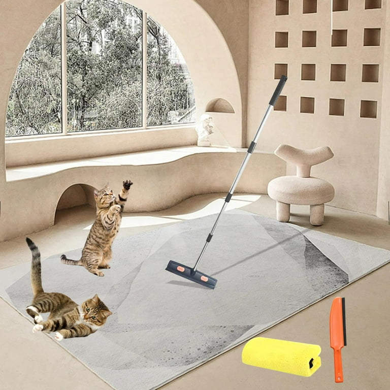 Best way to clean dog hair from wood floors online