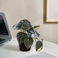 thumbnail image 6 of Pklyzj Clearance Simulation Fittonia Verschaffeltii Pot Home Living Room Decoration Pot Fresh Small Green Plant Fake Plants Grocery & Essentials, 6 of 6