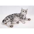 thumbnail image 4 of Hi-Line Gifts 17.5" American Short Hair Cat Lying Down Outdoor Garden Statue, 4 of 6