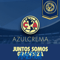 thumbnail image 5 of Portería De Futbol Infantil 94x57x57-club América, 5 of 5