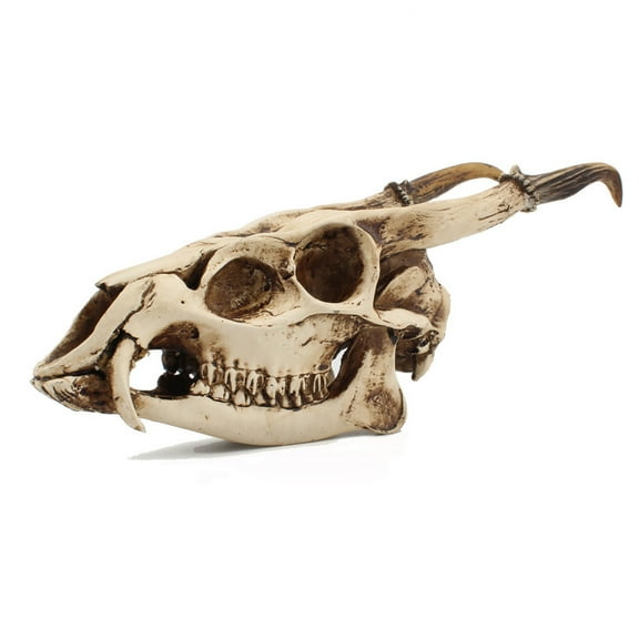 RABBITH Imitation Wild Goat Skull Desktop Ornaments Home Interior Decor for Creative Model for Home Indoor Desktop Decoration Art Crafts Photography Props Household Item