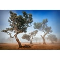 thumbnail image 2 of Popan, Adrian 14x11 White Modern Wood Framed Museum Art Print Titled - Fanal, 2 of 4
