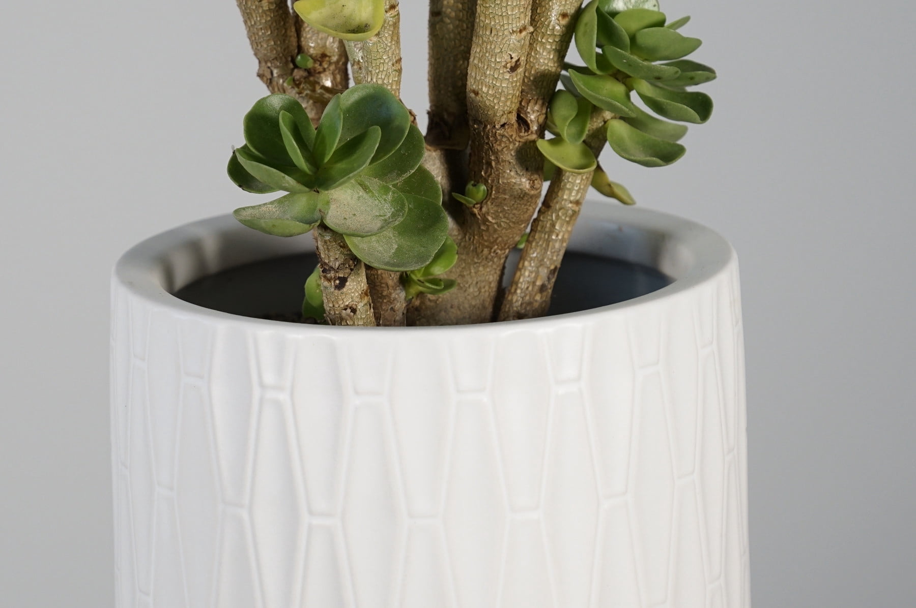 Better Homes & Gardens 6in Kennewick Ceramic Planter With Stand, White