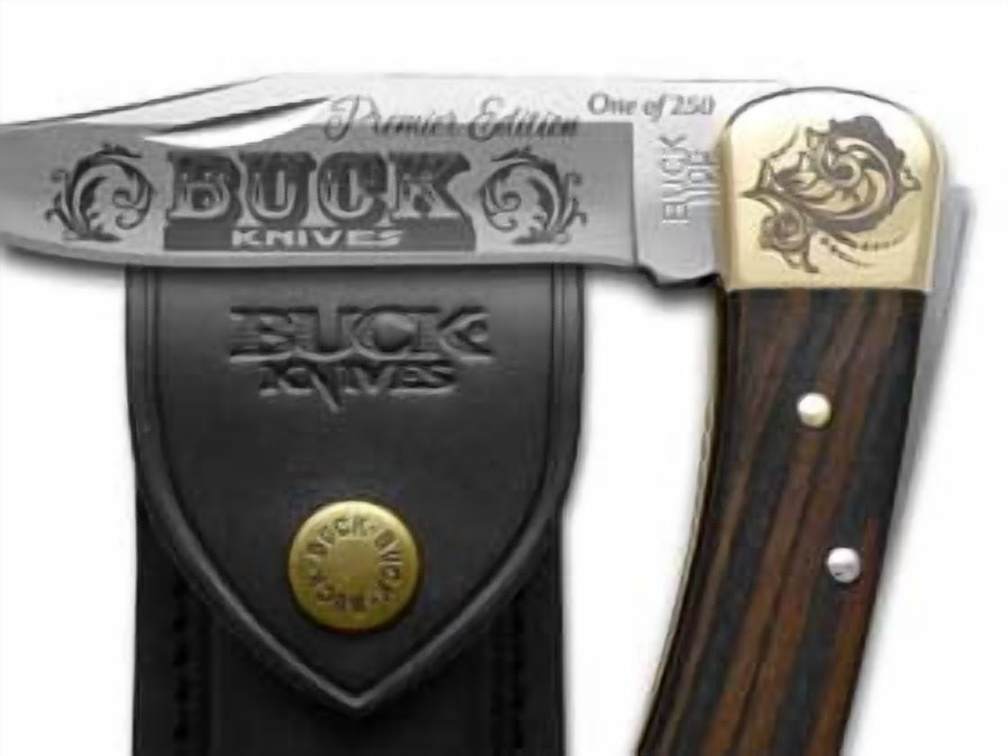 Buck 110 Premier Edition Ebony Wood Folding Hunter 1/250 Stainless Custom Pocket Knife