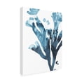 thumbnail image 2 of June Erica Vess 'Inkwash Kelp II' Canvas Art, 2 of 3