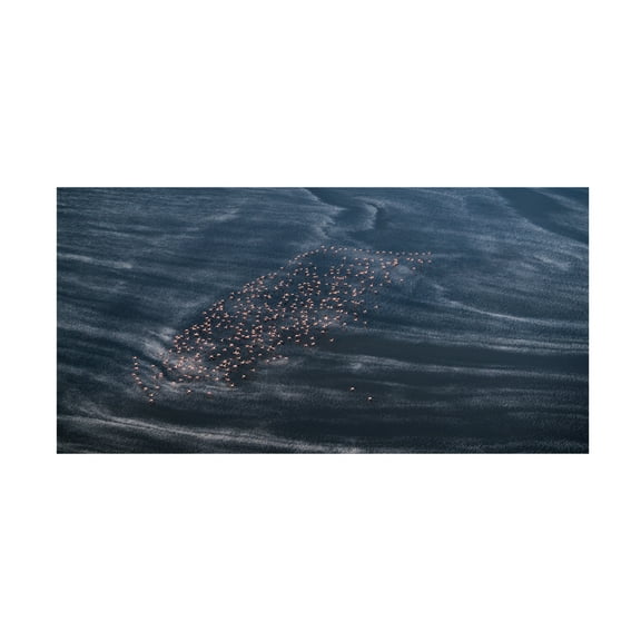 Canvas Wall Art - John Fan 'Wave Runner Ii' Wall Art for Living Room, Bedroom, or Office Décor by Trademark Fine Art - 19 x 10 Inches