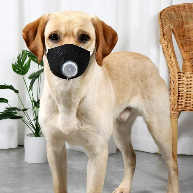 1/3pcs Dog Dustproof Mask Dog Mouth Cover