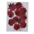thumbnail image 2 of KLKCMS 12 Pcs Fleurs Séchées Rouges Amour-en-un Embellissements Scrapbooking DIY Rouge, 2 of 9