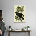 thumbnail image 2 of Great Big Canvas "Raven"  by John James Audubon Black Dark Forest Green   Wrapped Canvas Print Wall Artwork, 2 of 7