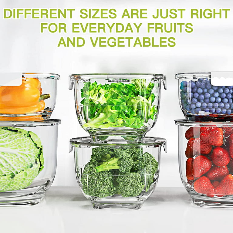 Luxear Fresh Container, 3Pack Produce Saver Container BPA Free Vegetable Storage Containers Fruit and Salad Partitioned Food