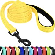 Nylon Dog Leash 5ft for Daily Outdoor Walking Running TrainingReflective Pet Leashes for Large, Medium & Small Dogs (Yellow, Small)
