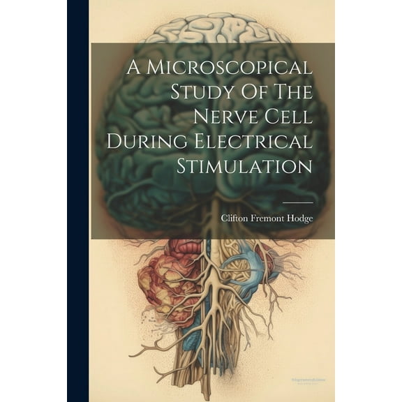 A Microscopical Study Of The Nerve Cell During Electrical Stimulation (Paperback)