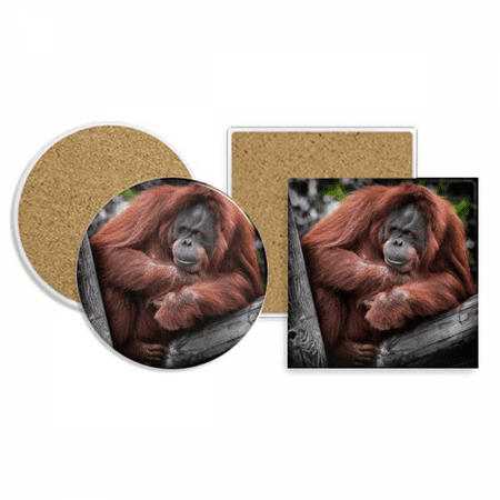 

m Animal Orang-utan Coaster Cup Mug Holder Absorbent Stone Cork Base Set