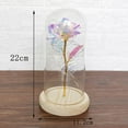 thumbnail image 3 of Galaxy Rose Gifts Colorful Artificial Flower Rose Light Gift in A Glass Dome Flowers Gifts for on Christmas Anniversary Valentine's Day Mothers Day Girlfriend Birthday Gifts, 3 of 6