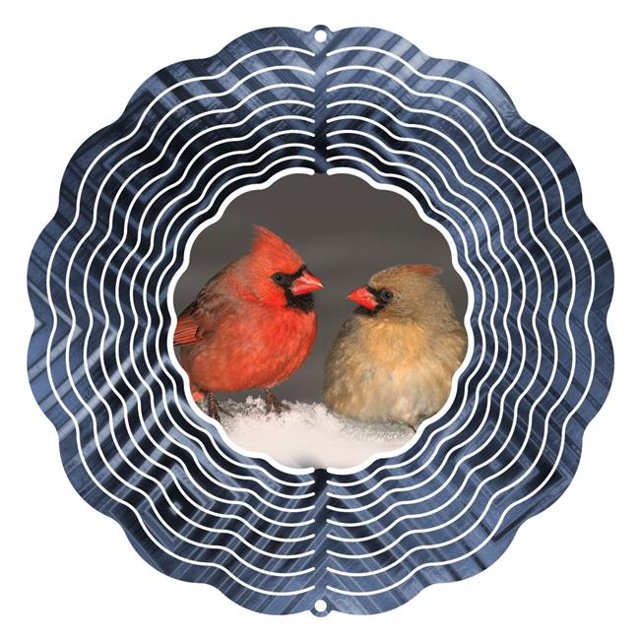 10 Po d'Art de Jardin de Filature de Vent Rouge d'Hiver