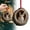 C, variant on Animal Ornaments for Christmas Tree，Christmas Ornaments 2025 Forest Animals Little Animals Acrylic Hanging Decoration Gift for Animal Lovers(Owl)
