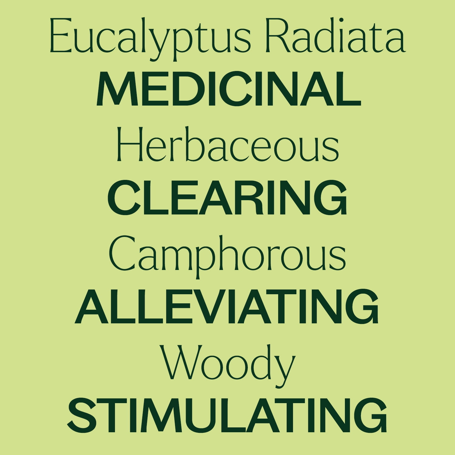 Plant Therapy Eucalyptus Radiata Essential Oil 100 mL (3.3 oz) 100% Pure, Undiluted, Natural Aromatherpay