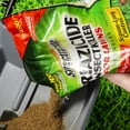 thumbnail image 6 of Spectracide Triazicide for Lawns Granules Insect Killer 10 lb. (Pack of 4), 6 of 7