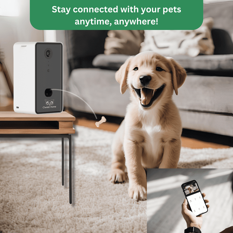 Dog treat webcam online