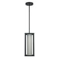 thumbnail image 5 of Trans Globe Lighting 51464 Adler 6" Wide Mini Pendant - Black, 5 of 6