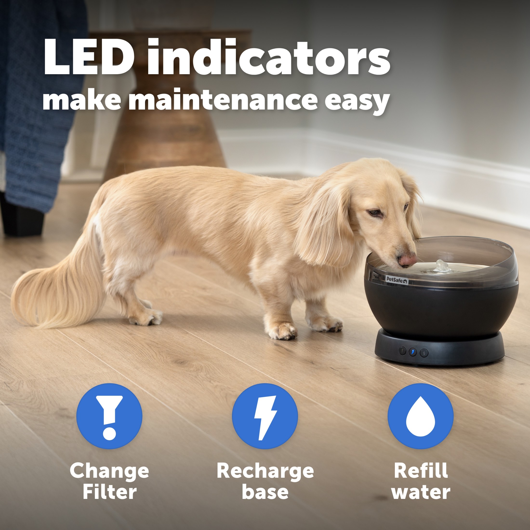 PetSafe HydroSphere Cordless Pet Fountain photo 6
