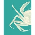 thumbnail image 3 of Fab Funky 12x14 Black Modern Framed Museum Art Print Titled - Contrasting Crab in Turquoise b, 3 of 5