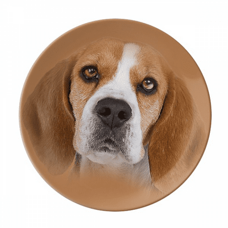 

Dog Body Eyes Nose Art Deco Fashion Plate Decorative Porcelain Salver Tableware Dinner Dish
