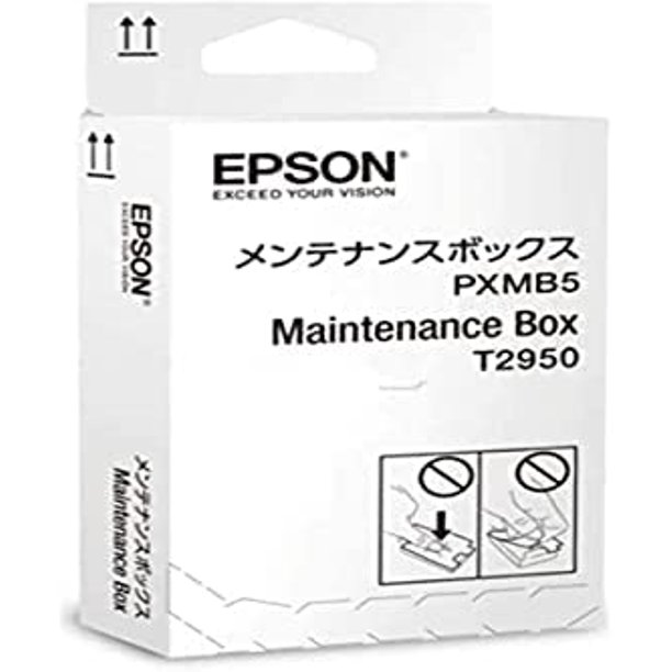 Epson Ink Maintenance Box for Workforce WF100