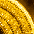 thumbnail image 3 of Serie Decorativa Paquete 6 Pz Luz Led Cálida 400 Focos 8 Funciones Navicolors Cable Transparente 18 m, 3 of 7