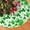 St. Patrick''s-white, variant on Festival Decoration Holiday Tree Skirt Decor for Holiday Party Mat, New Year Festive Decoration 36 in
