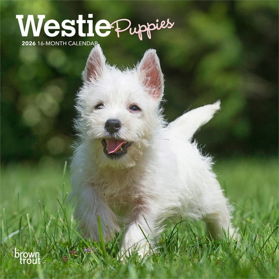 West Highland White Terrier Puppies 2026 7x14" (Hanging) Wall Calendar | BrownTrout