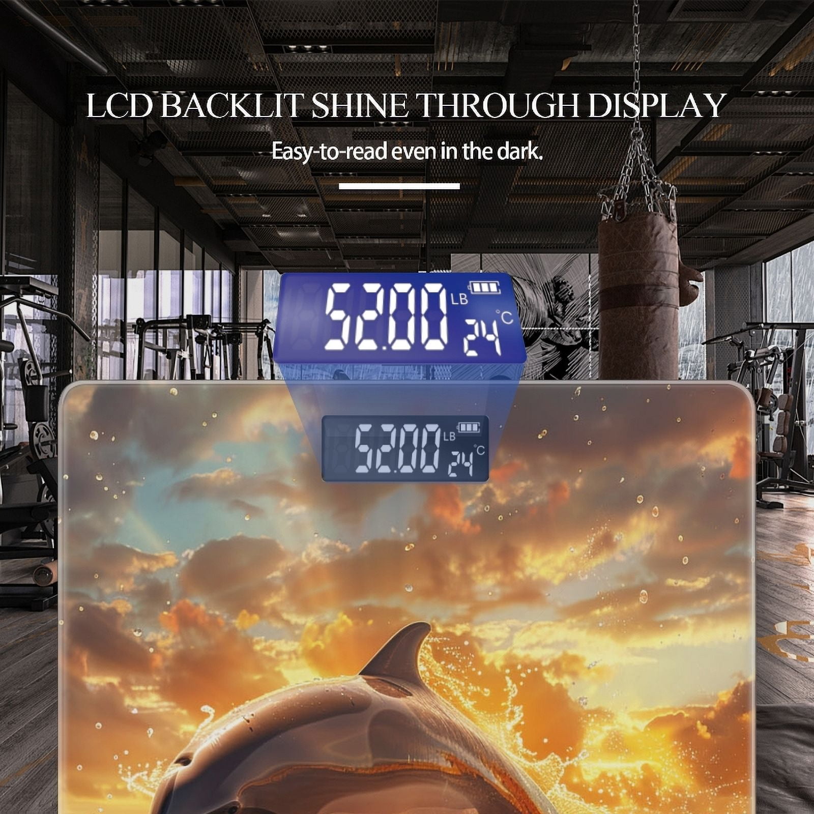 Bathroom Scale, Highly Accurate Digital Body Scale,Precisely Measures Weight up to 400 lbs-Beautiful Dolphin Leaping Out Of The Water At Sunset