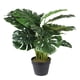 thumbnail image 1 of planta artificial monstera de polietileno 90 x 50 cm con maceta de cemento, 1 of 3